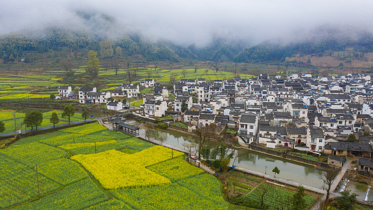 黄山毛尖安徽黄山卢村古建筑背景