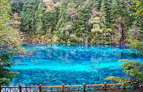 自然美四川九寨沟的五彩池背景