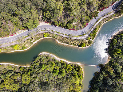 航拍深圳唯美公路图片