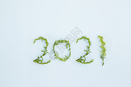 植物嫩芽摆成的数字2021高清图片