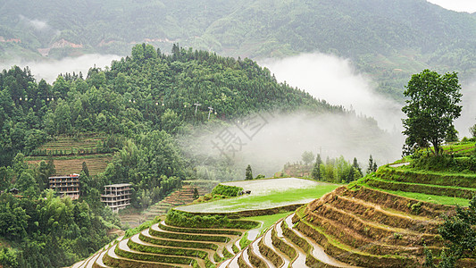 春耕的梯田图片