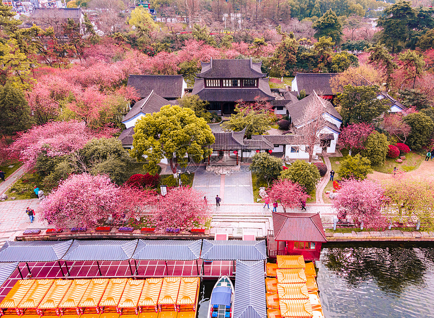 南京春天的莫愁湖公园海棠花航拍