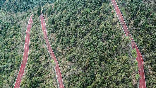 满山绿野的公路图片