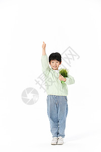 公益绘画素材抱着一盆绿植的小男孩举手背景