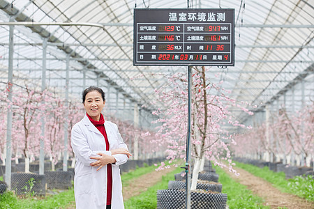 温室花卉农业科研专家观察温室环境数据背景