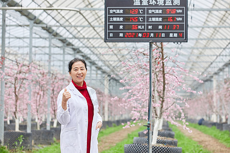 温室花卉农业科研专家观察温室环境数据背景