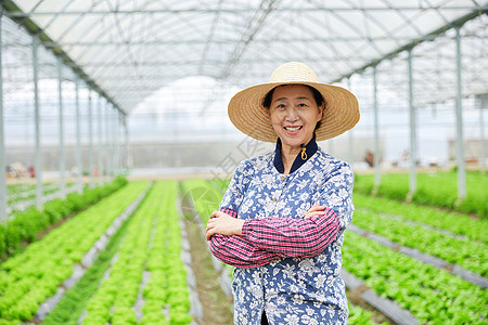 农民蔬菜大棚劳作形象背景