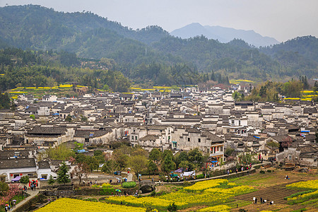 安徽西递古村落油菜花图片