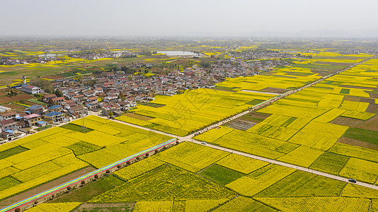 陕西地图陕西汉中油菜花春季风光背景