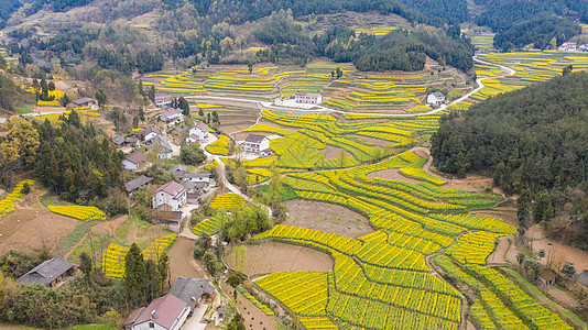 水村陕西勉县漩水坪梯田油菜花背景