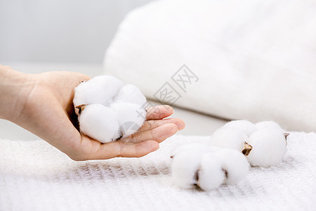 新疆棉花图片