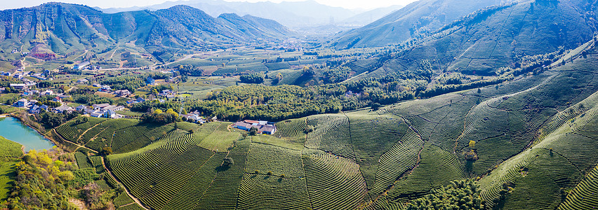 浙江安吉安吉县溪龙乡白茶茶山背景