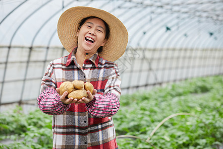 蔬菜大棚手捧土豆的农民大婶种植园高清图片素材