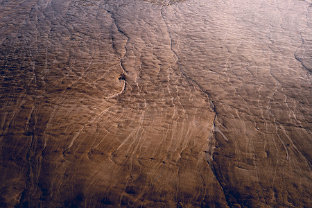 滩涂湿地图片