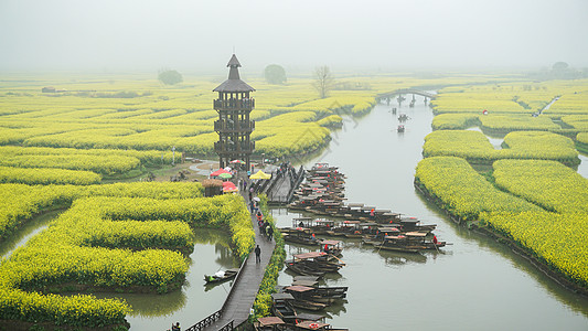 清明节踏青江苏泰州兴化千垛水上油菜花背景