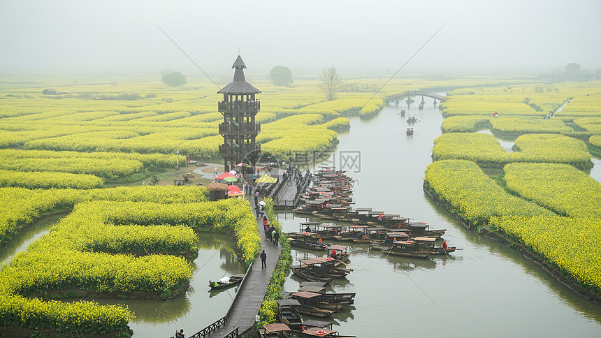 照片 自然风景 清明节 江苏泰州兴化千垛水上油菜花.