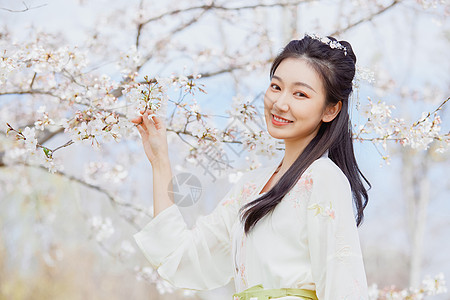 古风写真素材古风汉服樱花少女背景