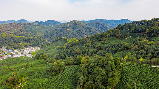 航拍杭州西湖龙井村茶园背景