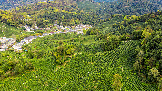 航拍杭州西湖龙井村茶园背景