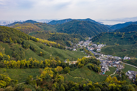 航拍杭州西湖龙井村茶园高清图片