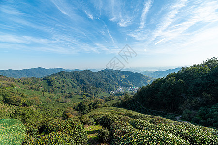 杭州西湖龙井村茶园背景