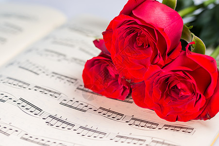 玫瑰花与乐谱图片