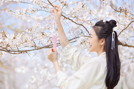 古风汉服樱花美女挂风铃许愿图片