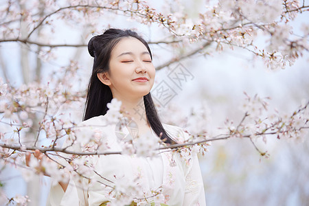 古风汉服樱花美女赏花高清图片