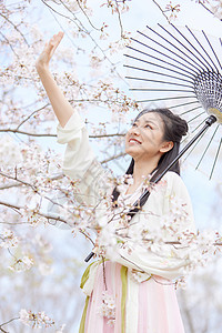 古风汉服樱花美女撑伞赏花图片