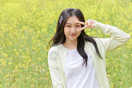 油菜花田的女孩油菜花田花季少女背景