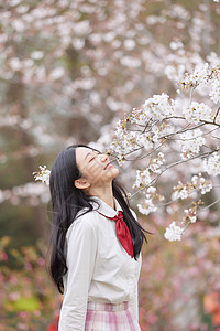 春季樱花少女逛公园赏花图片