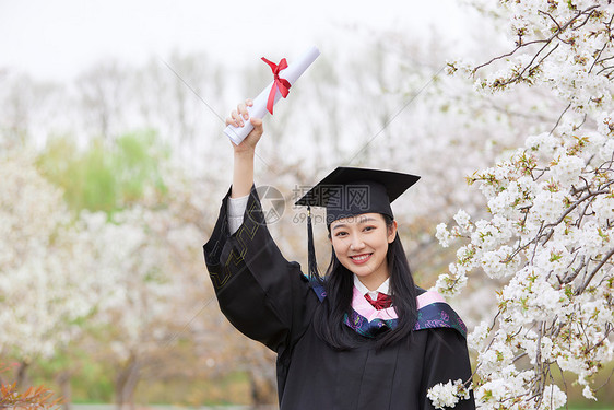 毕业季樱花清纯可爱少女图片