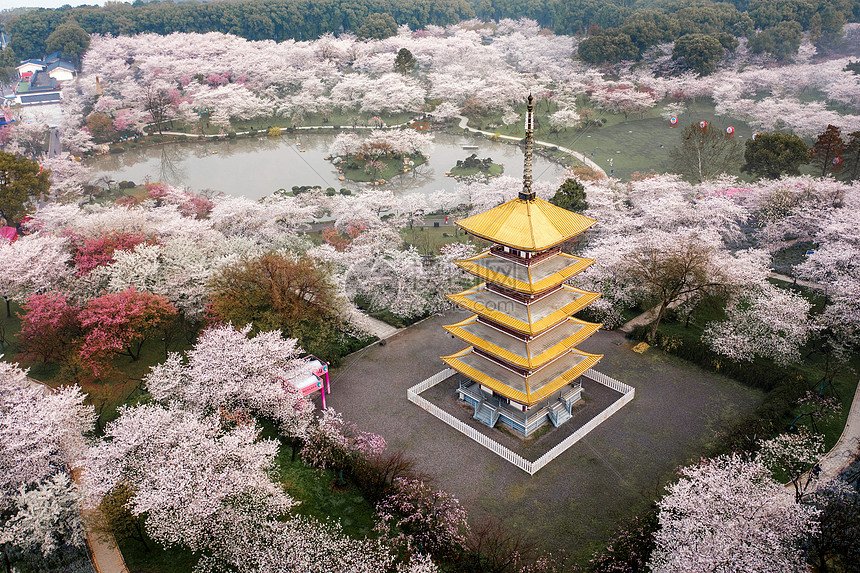 武汉东湖樱花园五重塔