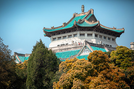 樱顶武汉大学樱花背景