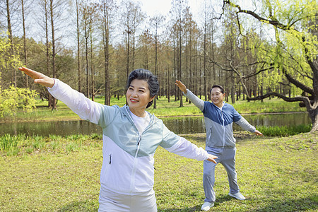 老年夫妇公园晨练背景