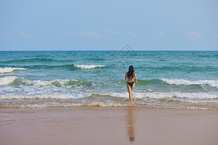 海滩背影比基尼美女背影背景