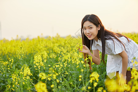 在油菜花田散步的年轻女性图片