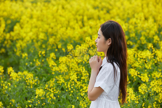 在花田祈祷的女性图片