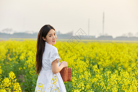 年轻女孩在油菜花田散步的年轻女性背景