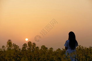 对着夕阳祈祷的少女图片