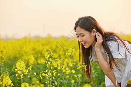 油菜花田中的年轻女性图片