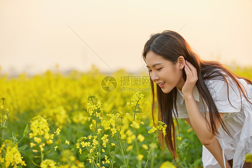 油菜花田中的年轻女性图片