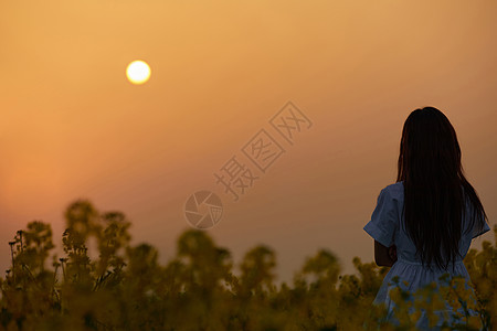 枫树下少女夕阳下的女性背影背景