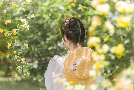 青春女孩背影夏天花下的女孩背影背景