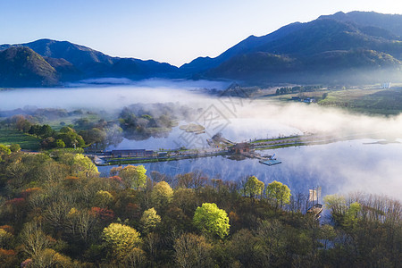 大纵湖湖北神农架大九湖清晨晨雾背景