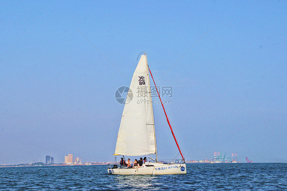 厦门海湾帆船图片