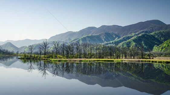 湖北神农架林区大九湖自然风景图片