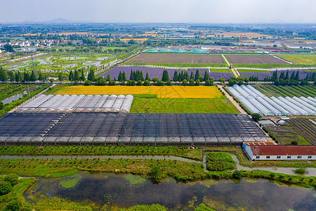 麦田航拍现代化农业麦田背景