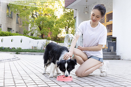 吃狗粮的女孩美女主人院子里喂宠物狗狗吃狗粮背景