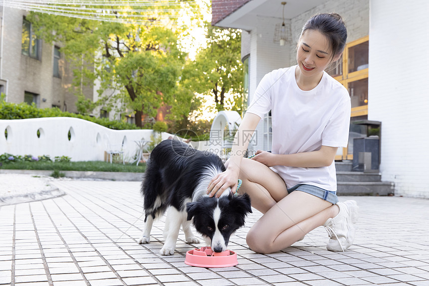 美女主人院子里喂宠物狗狗吃狗粮